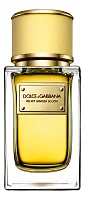 Dolce & Gabbana Velvet Mimosa Bloom