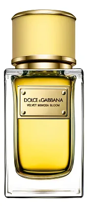 Dolce & Gabbana Velvet Mimosa Bloom