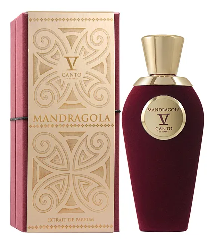 V Canto Mandragola