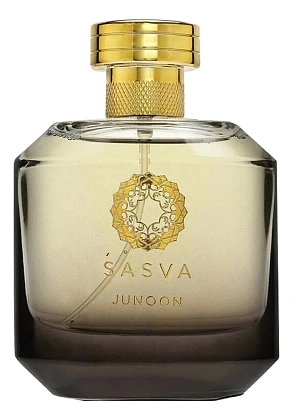 Sasva Junoon