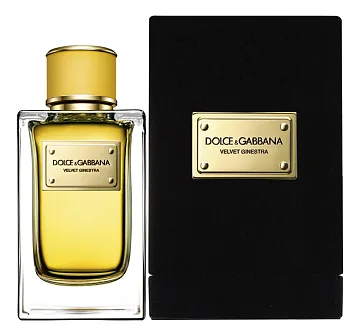 Dolce & Gabbana Velvet Ginestra