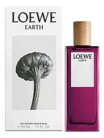 Loewe Earth