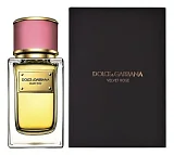 Dolce & Gabbana Velvet Rose