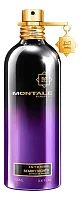 Montale Intense Starry Nights