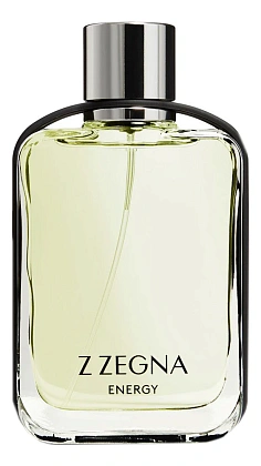 Ermenegildo Zegna Z Zegna Energy
