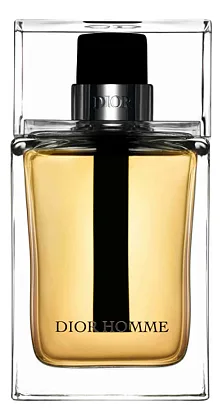 Christian Dior Homme 2011