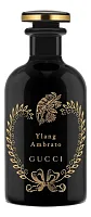 Gucci Ylang Ambrato