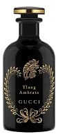 Gucci Ylang Ambrato