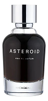 Nicheend Asteroid