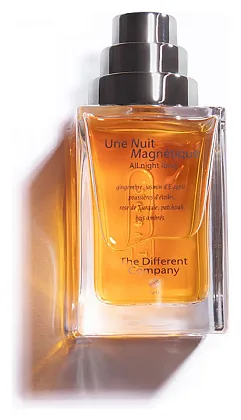 The Different Company Une Nuit Magnetique