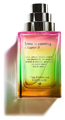 The Different Company Love Is Coming, Chapter II