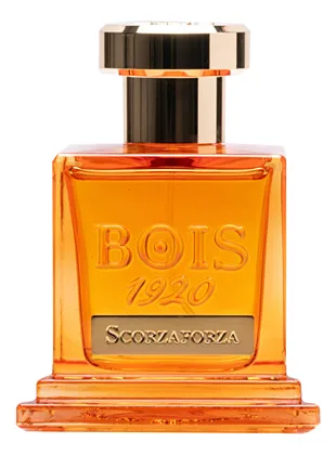 Bois 1920 Scorzaforza