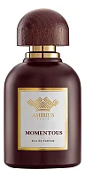 Amirius Momentous