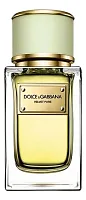 Dolce & Gabbana Velvet Pure