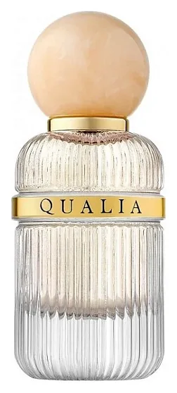 Qualia Introvert Desire