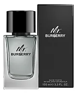 Burberry Mr. Burberry