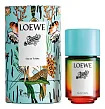 Loewe Paula's Ibiza