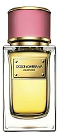 Dolce & Gabbana Velvet Rose