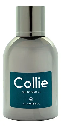 Bruno Acampora Collie