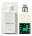 Dries Van Noten Santal Greenery