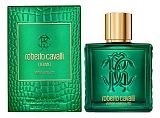 Roberto Cavalli Uomo Verde Assoluto