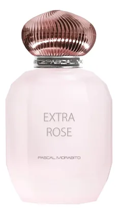 Pascal Morabito Extra Rose