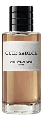 Christian Dior Cuir Saddle