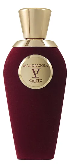 V Canto Mandragola