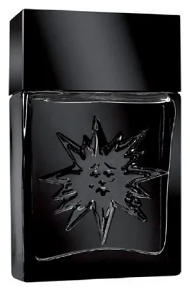 Salvador Dali Black Sun