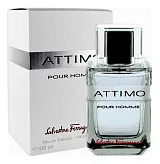 Ferragamo Attimo Pour Homme