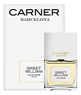 Carner Barcelona Sweet William