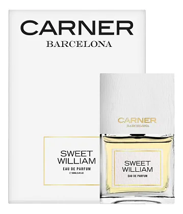 Carner Barcelona Sweet William