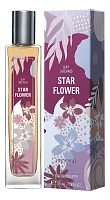 Brocard Day Dreams Star Flower