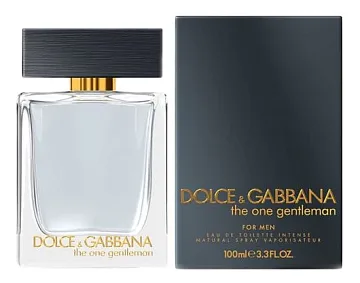 Dolce & Gabbana The One Gentleman