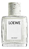 Loewe Iris Root