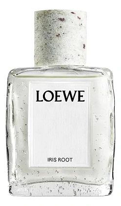 Loewe Iris Root