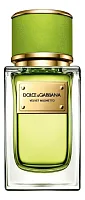 Dolce & Gabbana Velvet Mughetto
