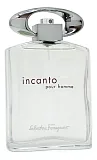 Ferragamo Incanto Pour Homme