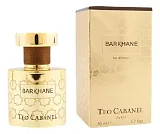 Teo Cabanel Barkhane