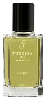 Fueguia 1833 Beagle