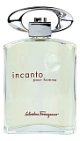 Ferragamo Incanto Pour Homme