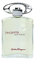 Ferragamo Incanto Pour Homme