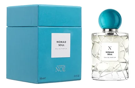 Les Soeurs De Noe Nomad Soul