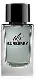 Burberry Mr. Burberry