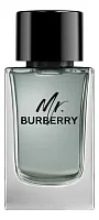 Burberry Mr. Burberry