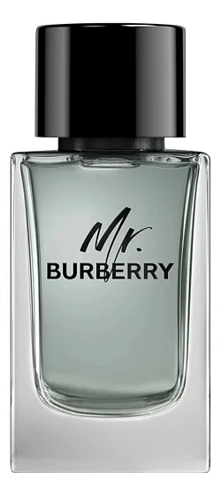 Burberry Mr. Burberry