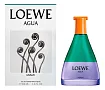 Loewe Agua Miami