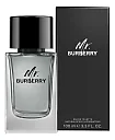 Burberry Mr. Burberry