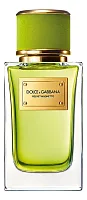 Dolce & Gabbana Velvet Mughetto