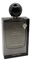 Expensive Chaos Company Can You Hear Me?